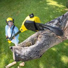 Best Pest Control for Lawns  in Chase, PA